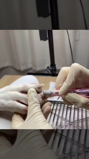 Это маникюр или педикюр 🤔))