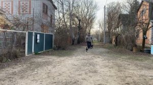 Кане-корсо 4 месяца Ральф! Отработка команды ко мне! Будни дрессировки!