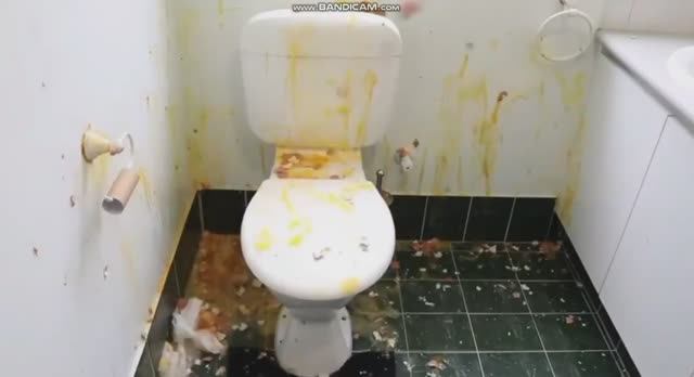 [YTP] Howtobasic Fixed Toilet..... BUT CAPCUT