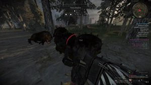 Баг со шнырями