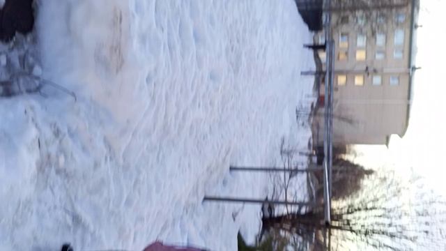 гуляю с друзьями 5