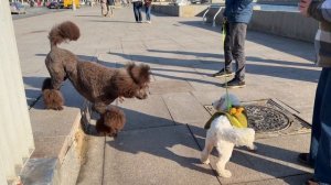 Ранняя весна в Москве