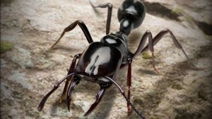 Игра в The Ants #1  мой клан: KLG1 кидайте заяву приму