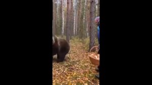 🤪Я за свою жизнь и не таких ходоков прогоняла