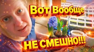 ВОТ ВООБЩЕ НЕ СМЕШНО | Жизнь простых людей | Дом в деревне | Деревенские будни