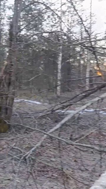 Шмурдячок. Куда же без него. 🙂