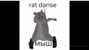 rat danse (крысиный танец)