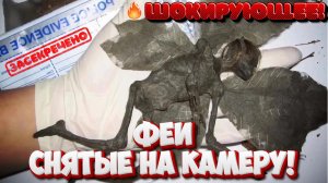 РЕАЛЬНЫЕ ФЕИ СНЯТЫЕ НА КАМЕРУ! ВИДЕО ОЧЕВИДЦЕВ!