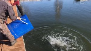 video-output-7AF1A52A-E3F9-469B-B0A0-35CEA62B8396-1