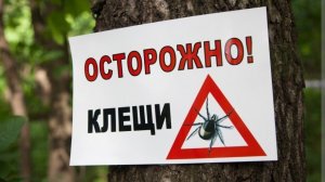 На лету застраховалась от Клеща) На здоровье экономить не стоит