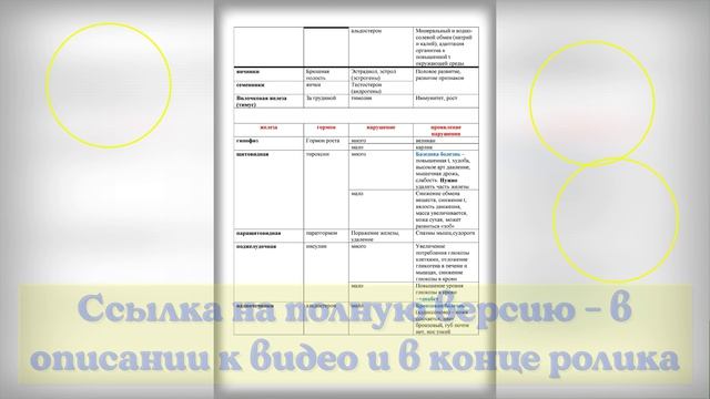 Конспект "Железы внутренней секреции"