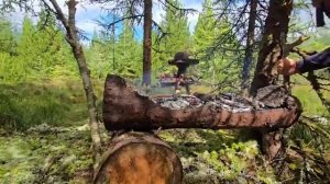 Дикий кролик (заяц) приготовлен на костре. Вкусная еда, мясо кролика