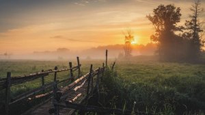 Перед рассветом И.Котов