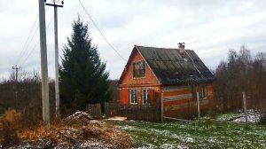 🍁ОБЗОР ТЕРРИТОРИИ и ближайшие планы (5 серия) || Ежевичный сад 2.0