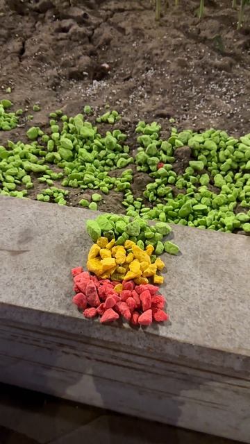 Флаг какой страны❓🤔