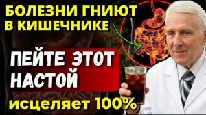 Даже Врачи В ШОКЕ! Кишечник как в 20 ЛЕТ! Гениальный БОЛОТОВ о здоровье кишечника