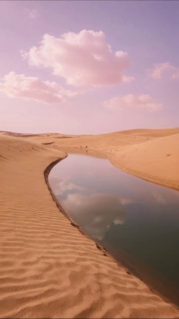 Тайна оазиса в пустыне #пейзаж #природа #отдых