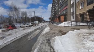 Растения для дачи