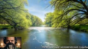 Ловушка жены.