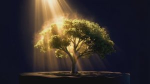 Амазонка - Величайшая экосистема планеты