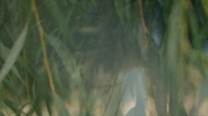 Елена Лунина "Родина моя"