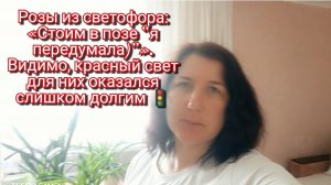 24-03-2026Розы из светофора: Стоим в позе “я передумала”