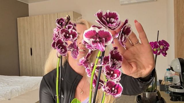 С обзора с орхидеями. Какие орхидеи мне удалось купить.