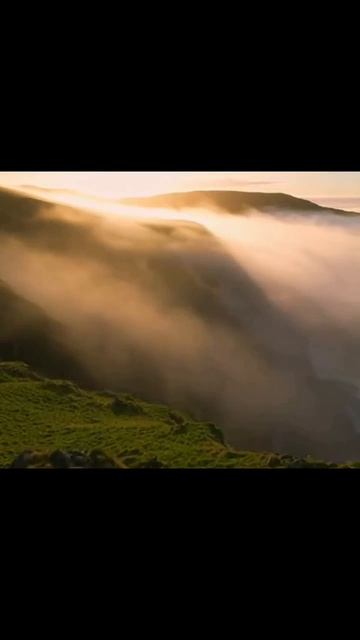 #природа #путешествия #животные #природныекрасоты #пейзаж