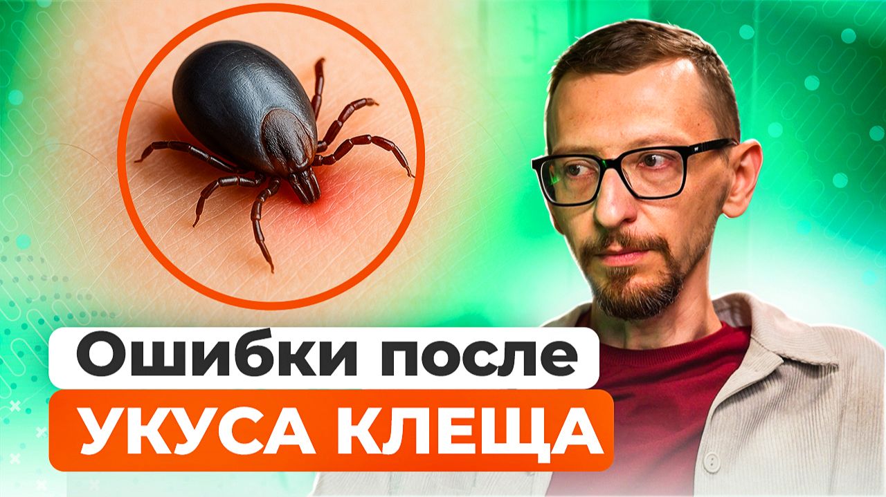 УКУС КЛЕЩА! Что делать? Симптомы, энцефалитный клещ, болезнь Лайма