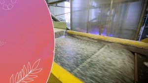 Раздельный сбор отходов что и куда сдавать