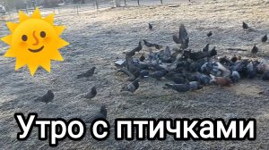 24-03-2026. Утро с птичками.