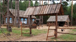 Лесной кордон для Золушки. История из жизни