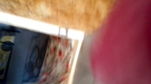 онет это же :