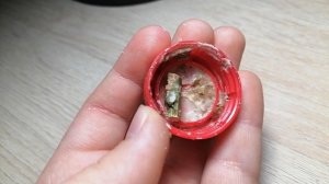 Утренний влог с Персиком.mp4