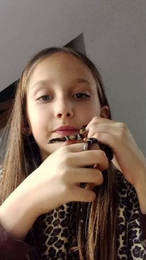 моя змейка 🐍