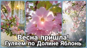 🌸 Прогулка по весенней Долине Яблонь: Пробуждение природы | Медитативный релакс 4K 🌸