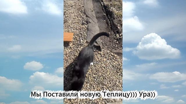 Наша Новая Теплица 3х6