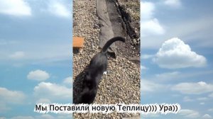 Наша Новая Теплица 3х6