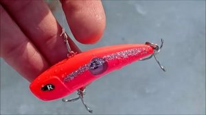 Поимки до и после  запуска форели на спорт зоне. Клёвое место лосиный остров.