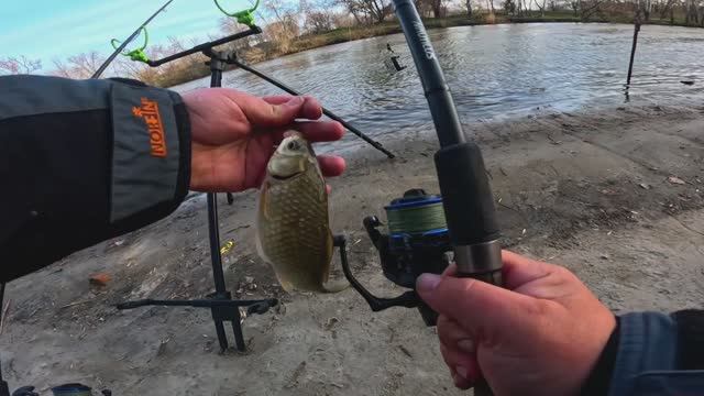 ФИДЕРНЫЕ ПРИКЛЮЧЕНИЯ РЫБАЛКА в МАРТЕ на ТЁПЛОМ КАНАЛЕ