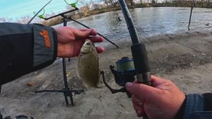 ФИДЕРНЫЕ ПРИКЛЮЧЕНИЯ РЫБАЛКА в МАРТЕ на ТЁПЛОМ КАНАЛЕ