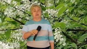 Черемухи цвет.