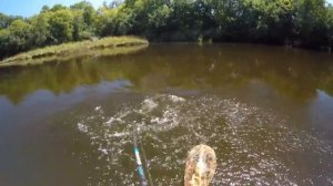 Ловля Щуки-Монстра на Утиную Приманку. Трофейная щука.