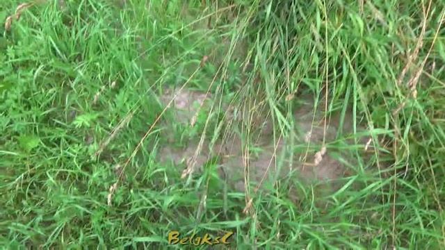 Потоп в Смоленске. Прошлое.