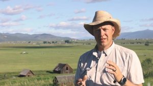 Восстановили 400 гектаров земли и отказались от химии