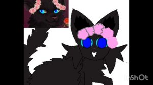 Это на конкурс мёртвого хвоста!