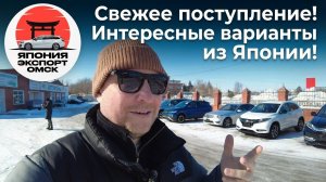 Авто из Японии в Омске! Vezel | Forester | Passat,  Golf и T-Cross | MB