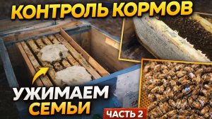 Контроль кормов. Ужимаем пчелосемьи. Часть 2