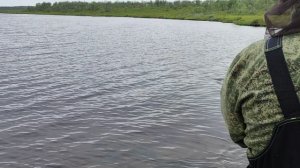 Знакомство в мошками 2024-07-06 12:19