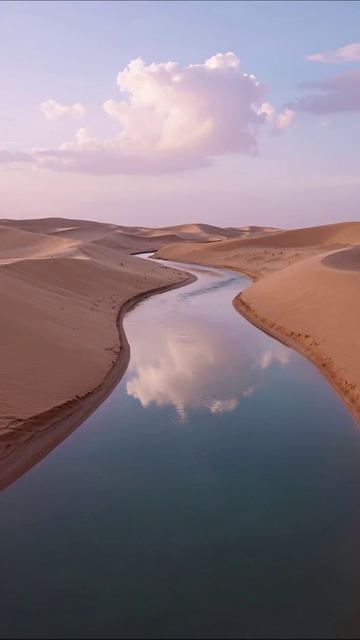 Красота пустыни: вода среди песков #пейзаж #природа #пустыня